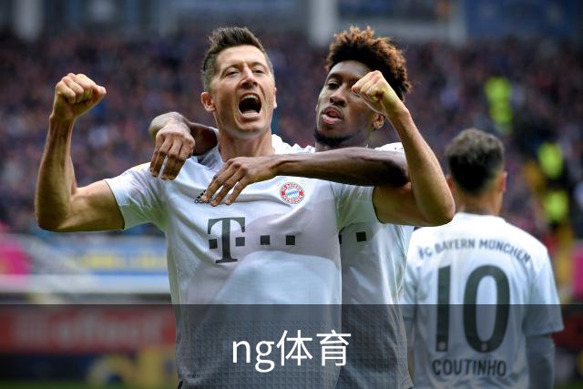 ng体育 公司简介